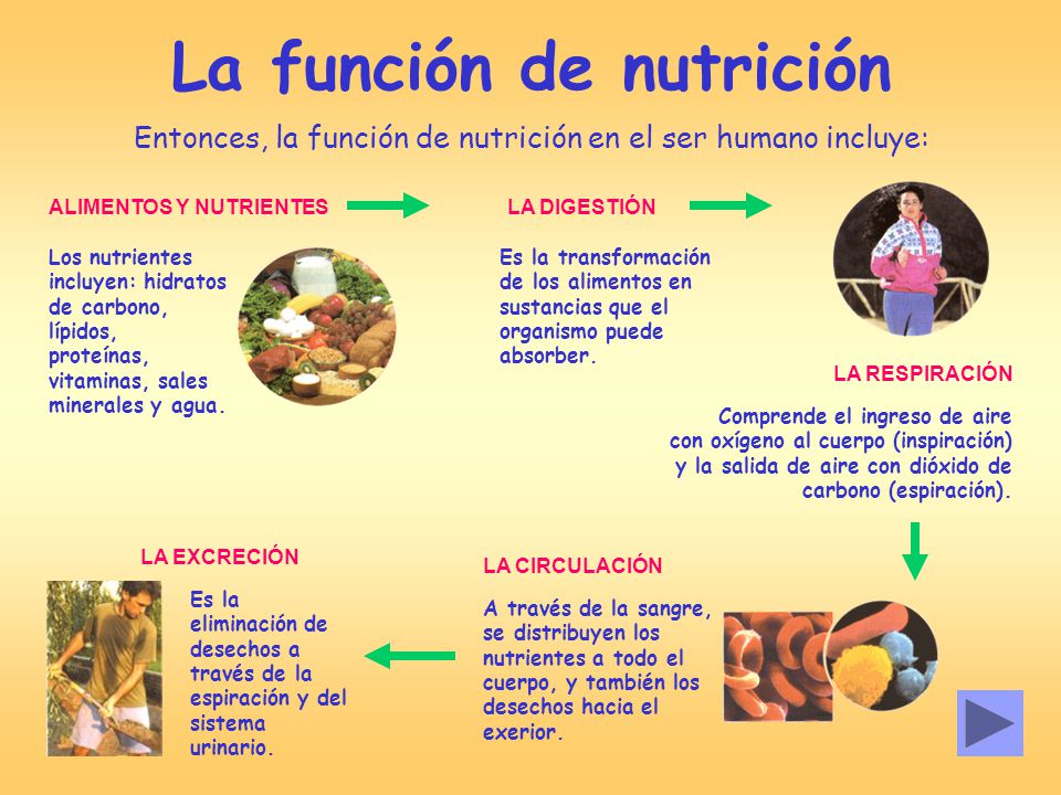 Nutrientes ejemplos